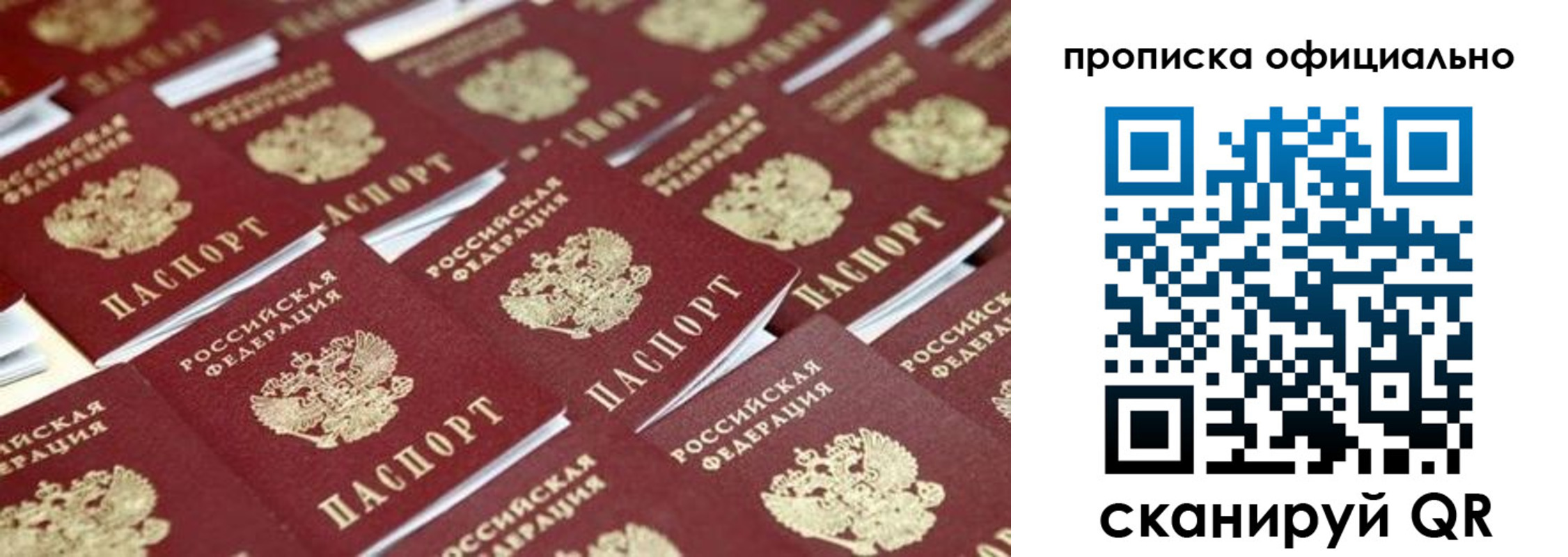 прописка гарантия в Камешково